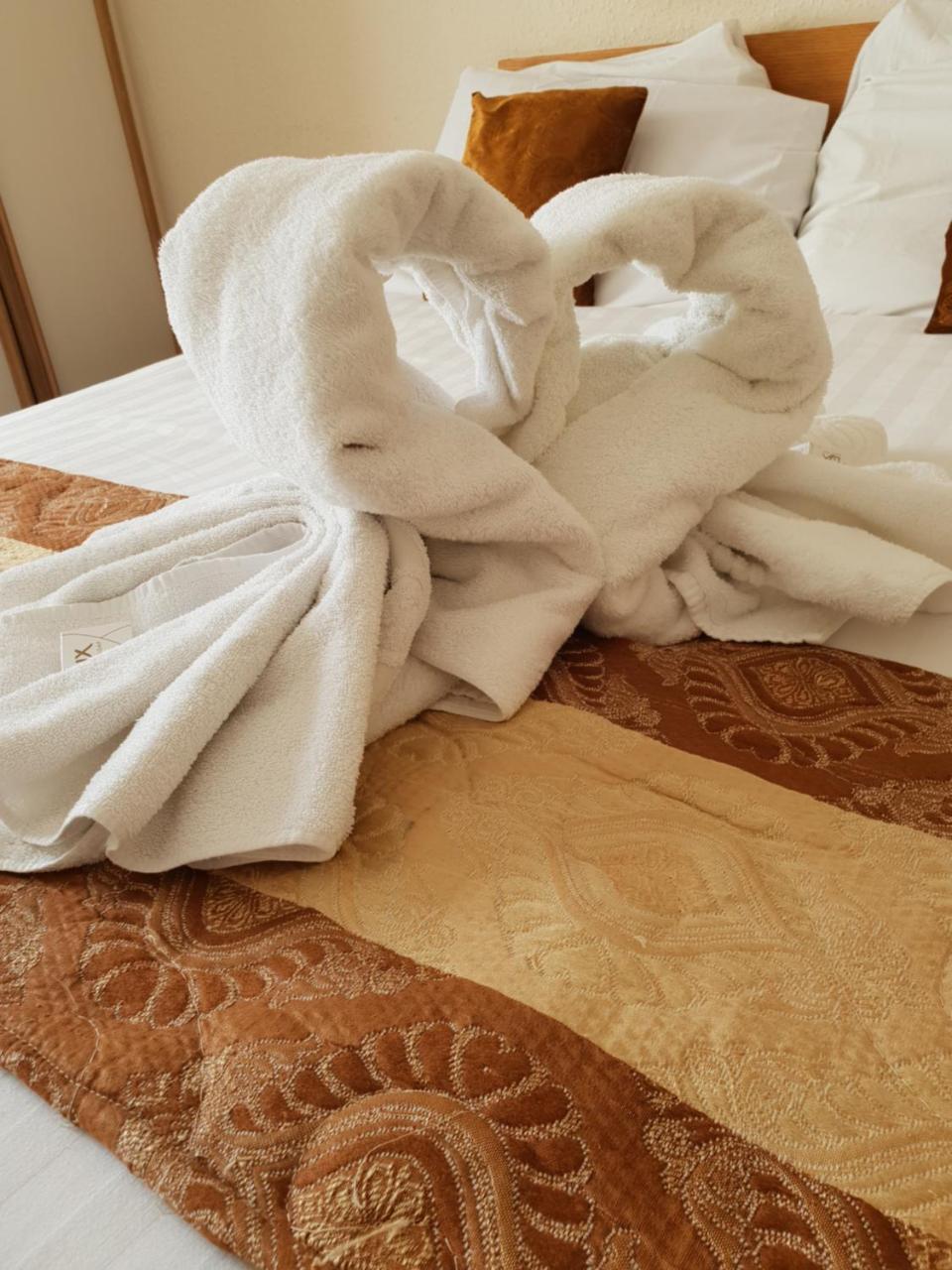 Sherwood Palm Hotel トーキー エクステリア 写真